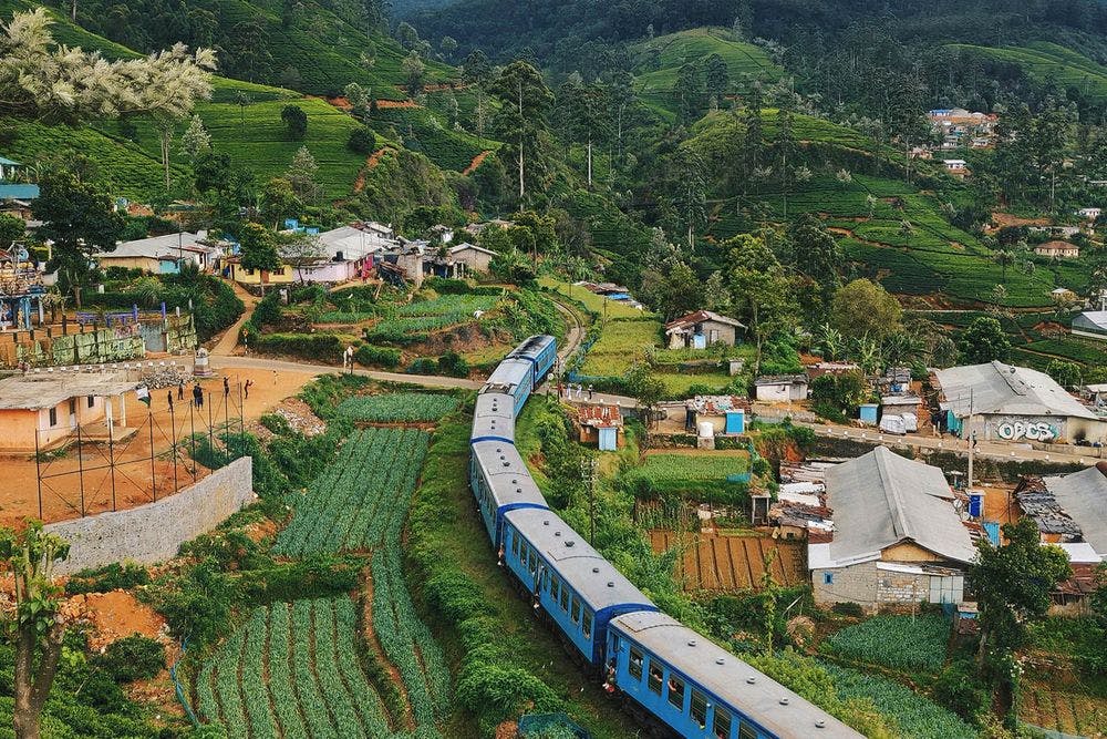 Mit dem Zug durchs grüne Hochland - ein Highlight in Sri Lanka