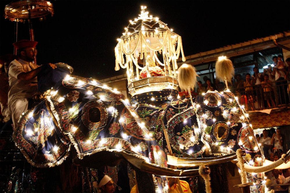 Festlich geschmückte Elefanten während Esala Perahera, eines der spektakulärsten religiösen Feste Asiens.