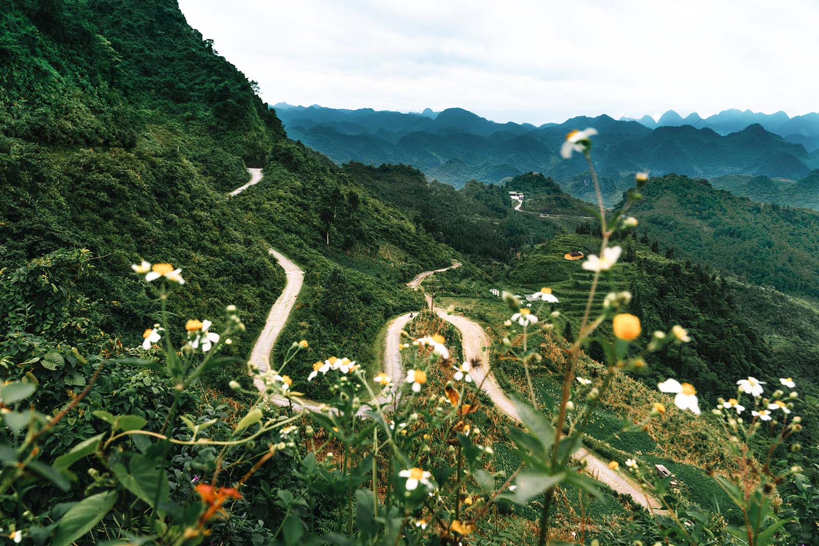 Mit dem Motorrad über asiatische Straßen - ein Abenteuer, das du nicht verpassen solltest!